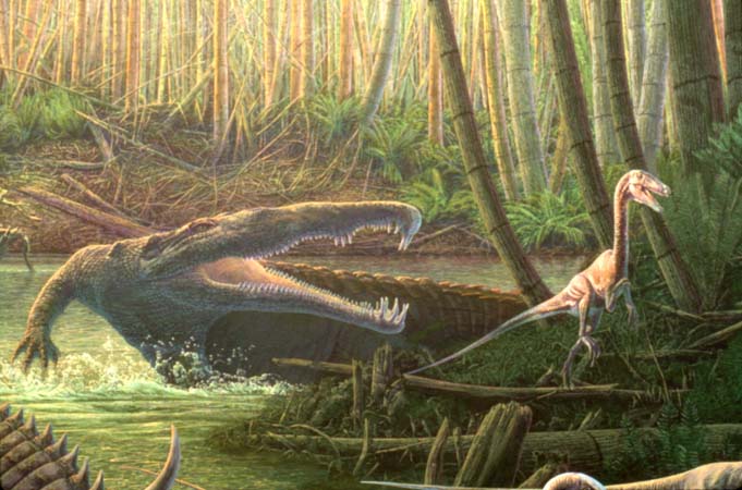 Denver MNS_Triassic Detail
