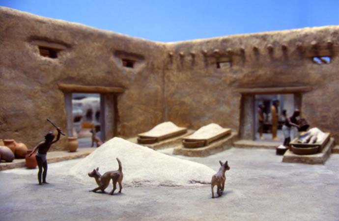 Field Museum_Mummification3