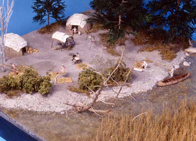 Minn.Hist.Soc._Wild Rice