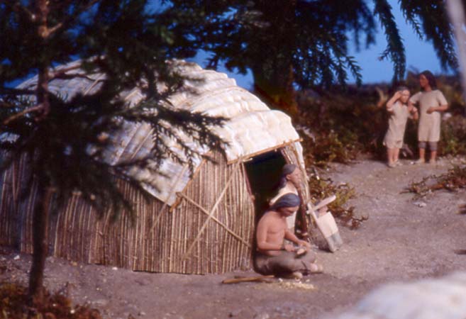 Minn.Hist.Soc._Wild Rice3