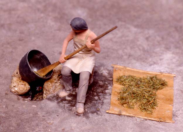 Minn.Hist.Soc._Wild Rice4
