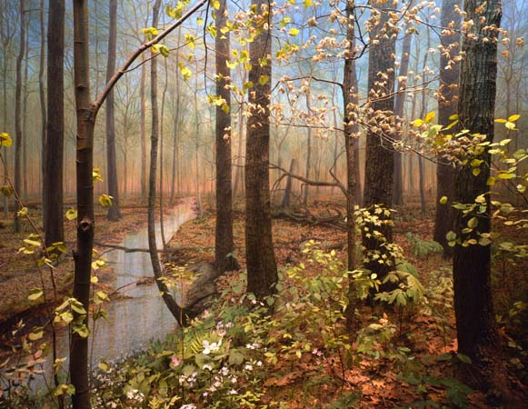 Field Museum_Woodlands