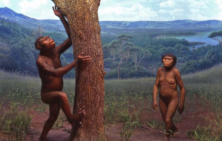 Gunma_Japan_Afarensis