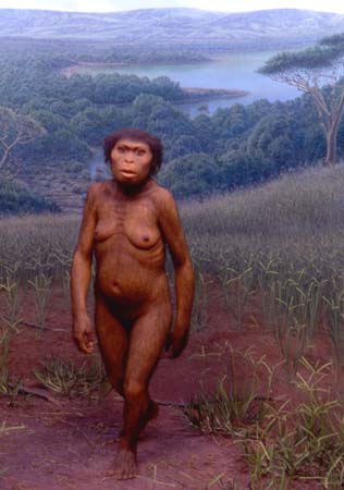 Gunma_Japan_Afarensis2