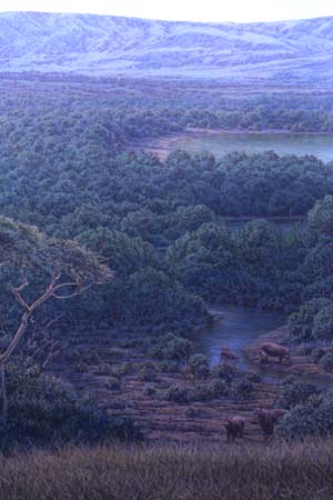 Gunma_Japan_Afarensis3