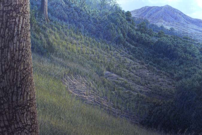 Gunma_Japan_Afarensis4