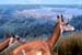 DenverMNH_Miocene